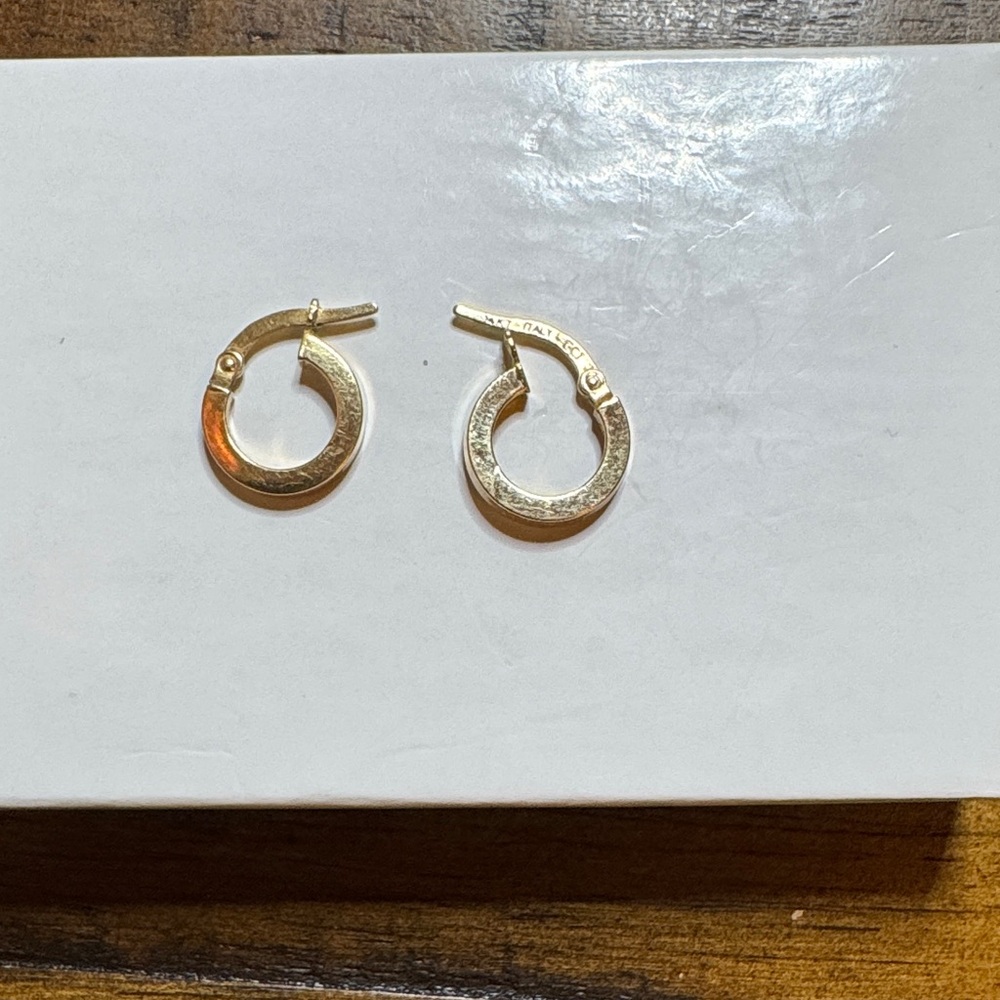 Elegant Gold Hoop Earrings ( preowned )